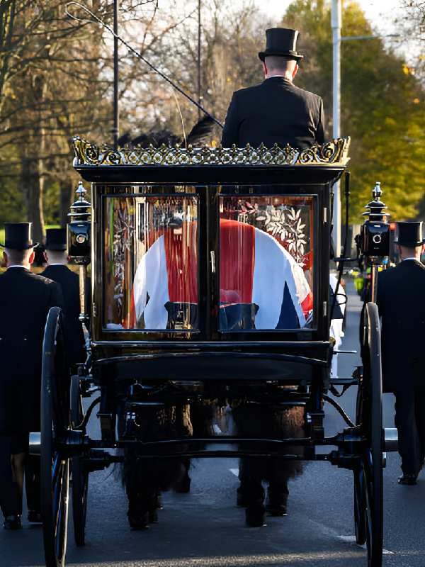 Service Horse-Drawn Carriage