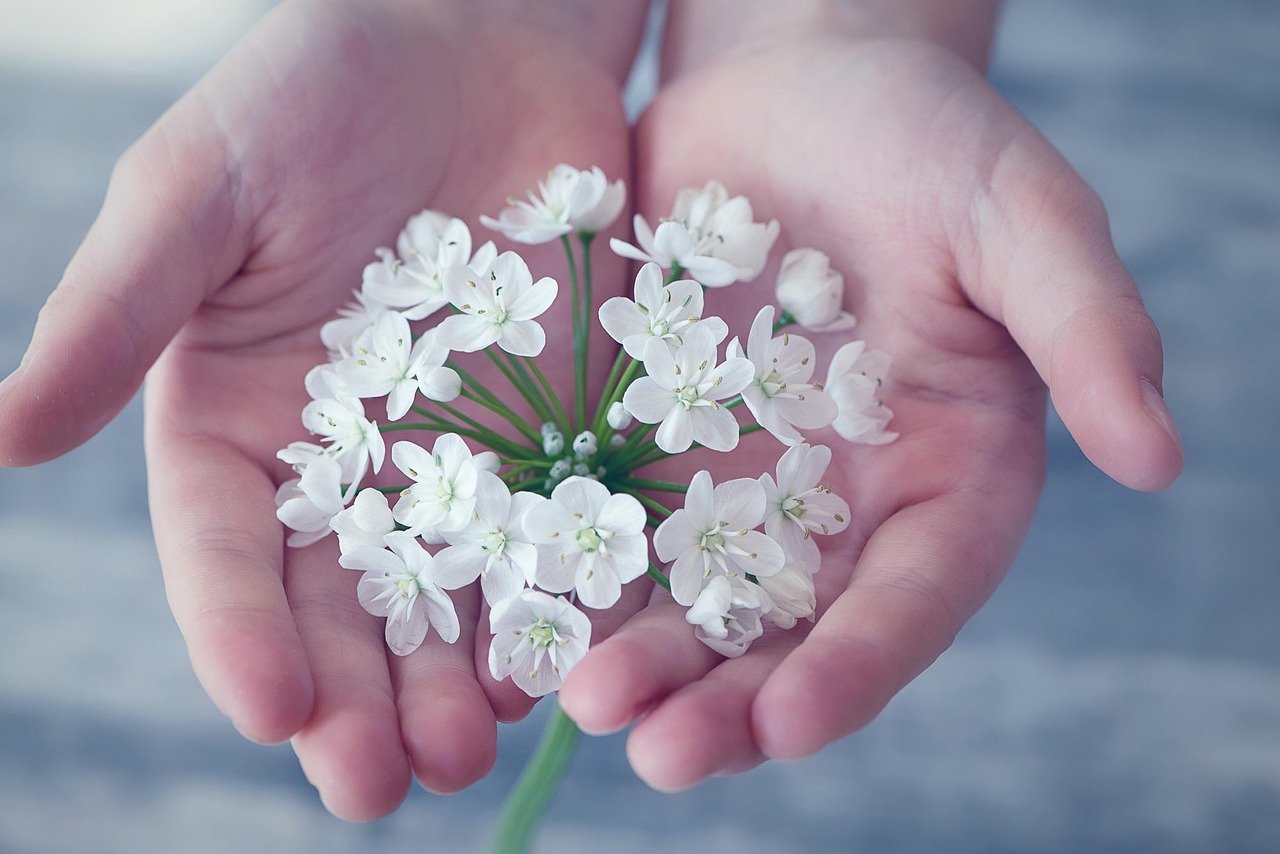 white-flower-holding-in-hand