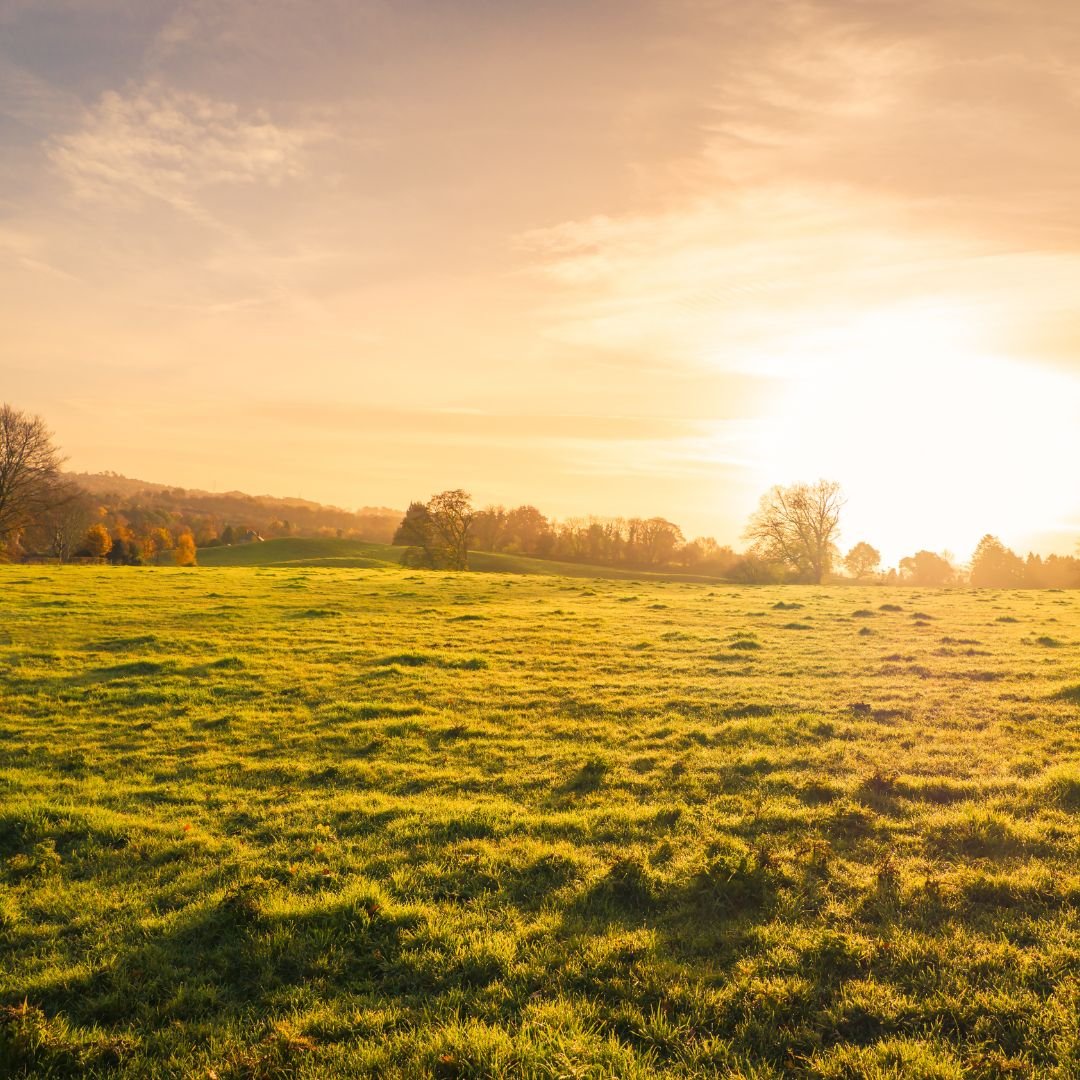 Untitled design - 2025-06-02T161211.620